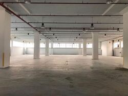 ELEMENT 14 (D19), Warehouse #576589531
